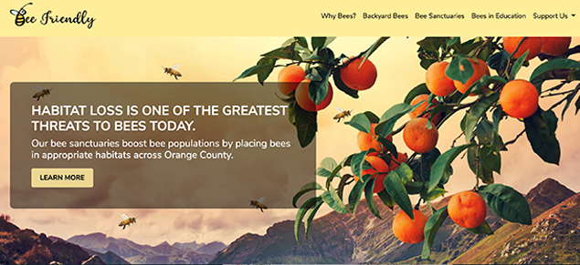Image Introducing Bee Friendly Website